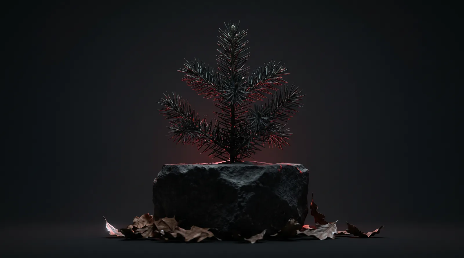 Ein kleiner Nadelbaum auf einem Steinsockel im roten Streiflicht