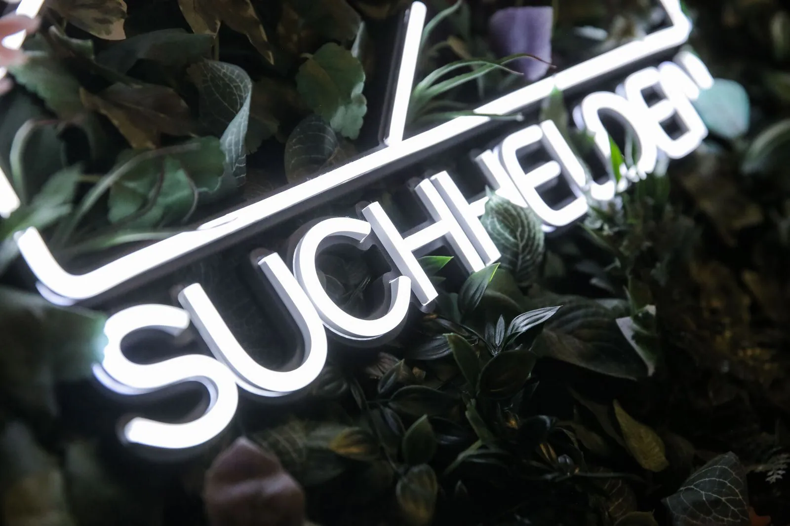 Neonschriftzug „Suchhelden“ zwischen Pflanzen im Büro in Osnabrück