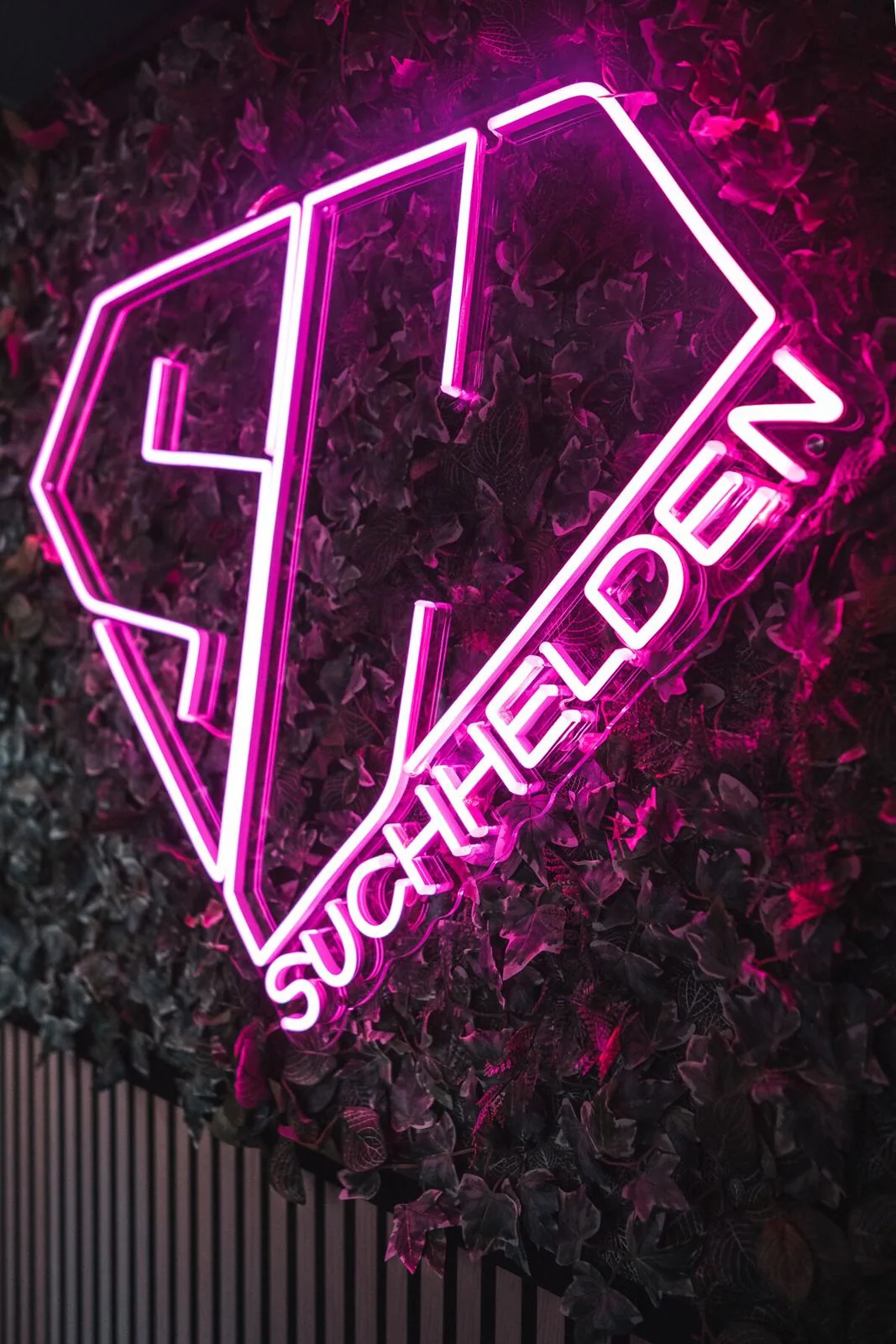 Pinkes SH-Neonlogo auf der Pflanzenwand im Suchhelden-Büro in Osnabrück