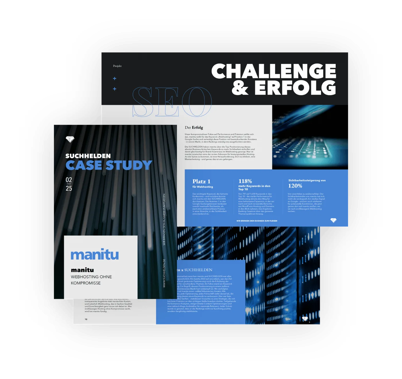 Suchhelden Case Study Dokument – Manitu PDF-Vorschau